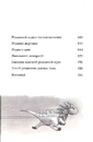 Книга Хлопавка для Різдвозавра фото