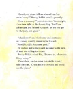 Книга A Small Bunny in the Big City, or Honey for Mommy фото