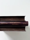 Книга Безсмертна пітьма фото