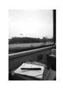 Книга Книжкові злодії фото
