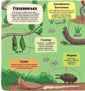 Книга Маленькі дослідники: Комашки фото