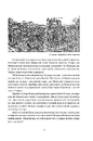 Книга Коперник. Революції фото
