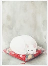Книга Коти в мистецтві фото