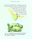 Книга Квідич крізь віки. Велике ілюстроване видання фото