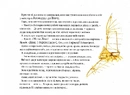 Книга Ліза та її сни фото