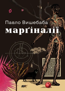 Марґіналії - книга Павло Вишебаба, 2026