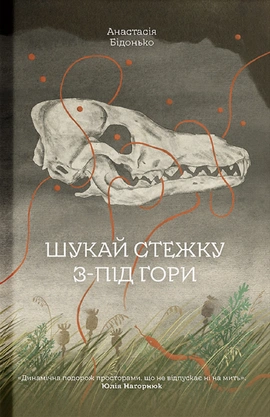 Шукай стежку з-під гори - книга Анастасія Бідонько, 2026