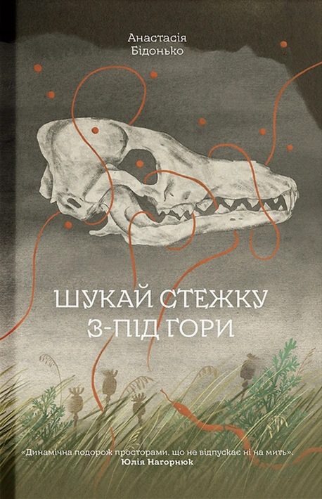 Книга Шукай стежку з-під гори фото