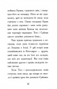 Тото. Кішка-ніндзя та справа про викрадення сиру. Книга 2 фото