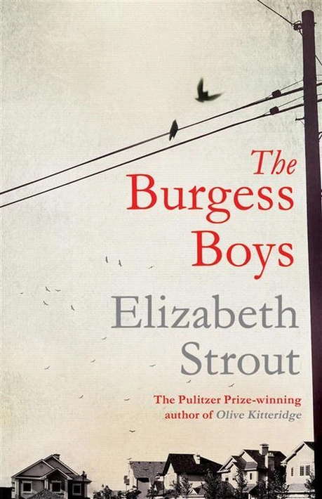 Книга The Burgess Boys фото