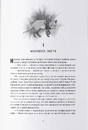 Книга Жінка-лисиця фото