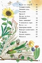 Книга Велика книга квітів фото