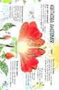 Книга Велика книга квітів фото