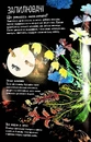 Книга Велика книга квітів фото