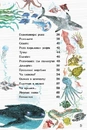 Книга Велика книга морів фото