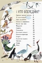 Книга Велика книга птахів фото