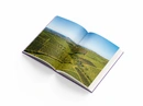 Книга Wines of Ukraine: The Untold Story фото