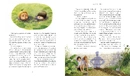 Книга Тореадори з Васюківки. Велике ілюстроване видання. Книга перша фото
