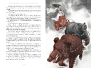 Книга Заклятий меч, або Голос крові фото