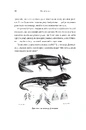 Книга Збагнути все. Розшифрування чотирьох мільярдів років життя на Землі: від стародавніх скам’янілостей до ДНК фото